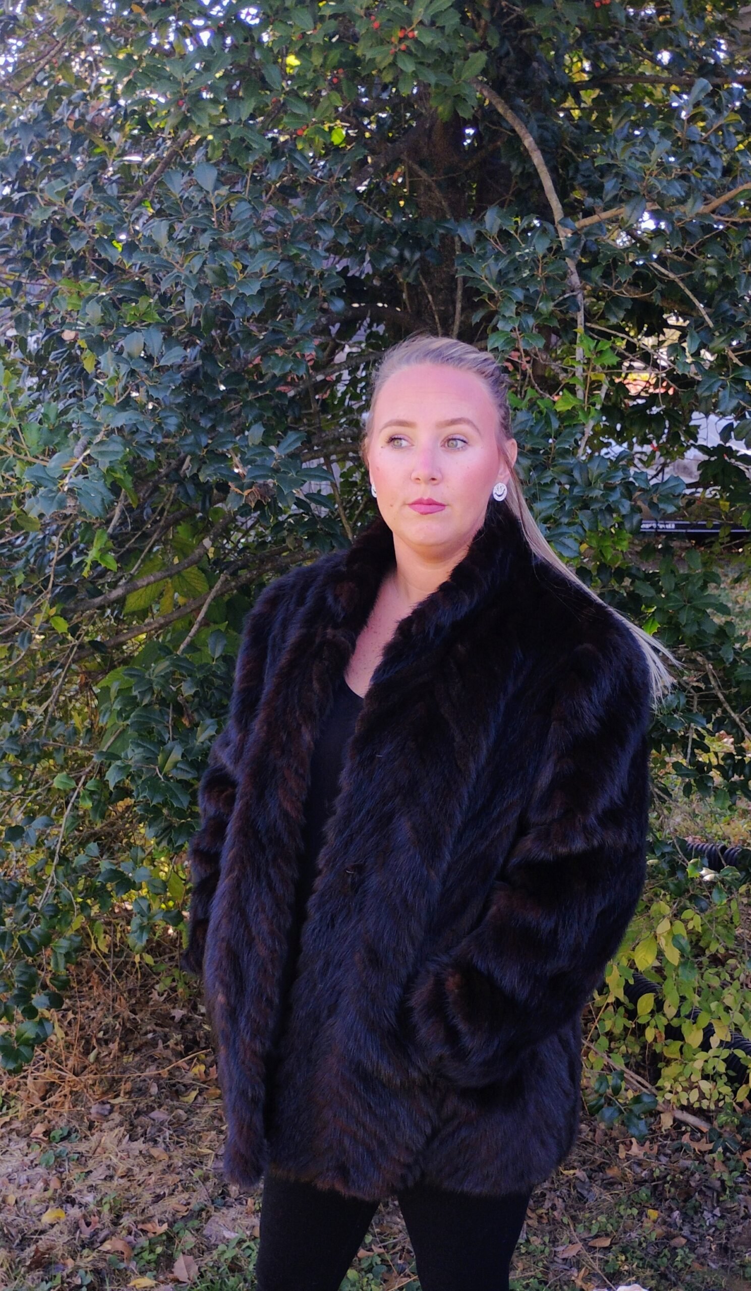 IMG_20241027_133129870_AE